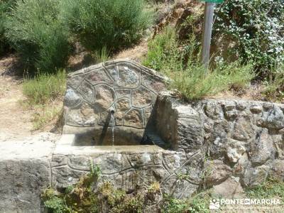 Pinares de Piedralaves;excursiones en madrid rascafria las presillas senderismo la palma